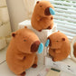 Capybara Snotty Plush