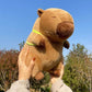 Capybara Turtle Backpack Plush